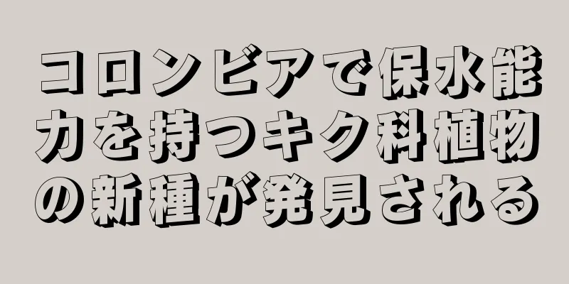 コロンビアで保水能力を持つキク科植物の新種が発見される
