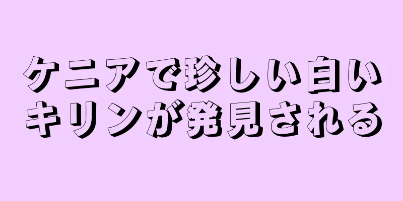 ケニアで珍しい白いキリンが発見される