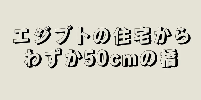 エジプトの住宅からわずか50cmの橋