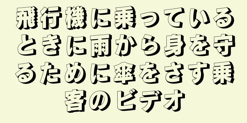 飛行機に乗っているときに雨から身を守るために傘をさす乗客のビデオ