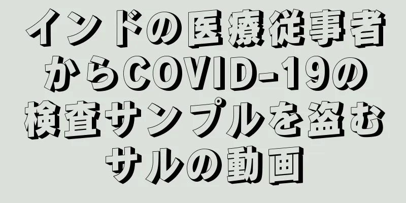 インドの医療従事者からCOVID-19の検査サンプルを盗むサルの動画