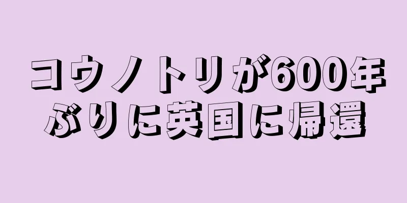 コウノトリが600年ぶりに英国に帰還