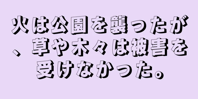 火は公園を襲ったが、草や木々は被害を受けなかった。