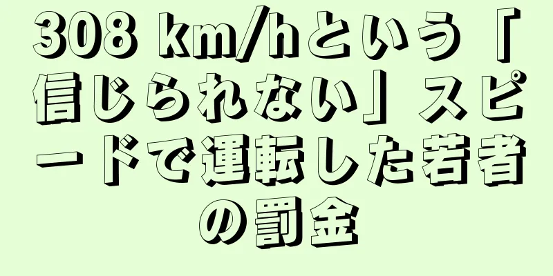 308 km/hという「信じられない」スピードで運転した若者の罰金