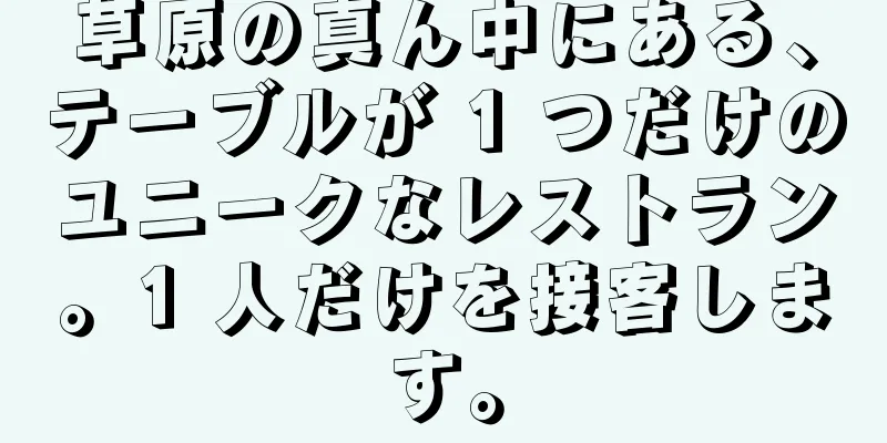 草原の真ん中にある、テーブルが 1 つだけのユニークなレストラン。1 人だけを接客します。