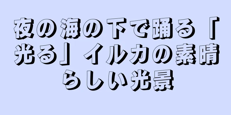 夜の海の下で踊る「光る」イルカの素晴らしい光景