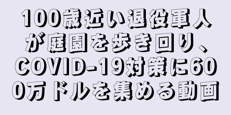 100歳近い退役軍人が庭園を歩き回り、COVID-19対策に600万ドルを集める動画