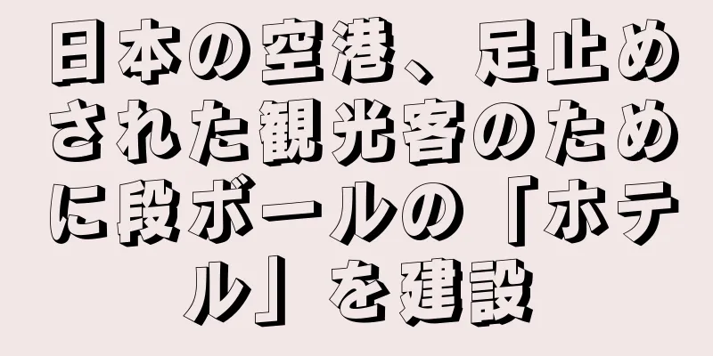日本の空港、足止めされた観光客のために段ボールの「ホテル」を建設