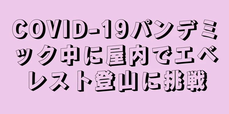 COVID-19パンデミック中に屋内でエベレスト登山に挑戦
