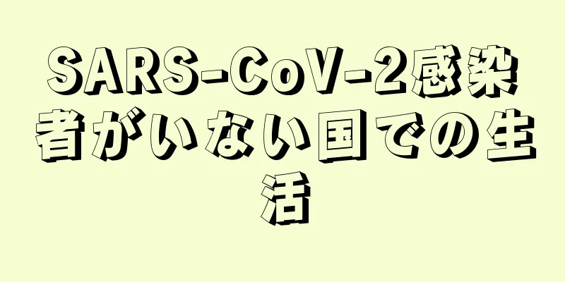 SARS-CoV-2感染者がいない国での生活