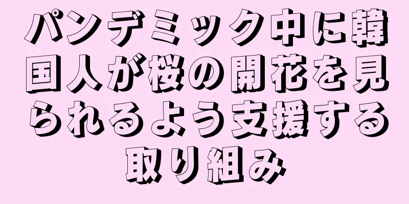 パンデミック中に韓国人が桜の開花を見られるよう支援する取り組み