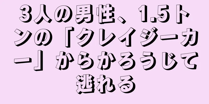 3人の男性、1.5トンの「クレイジーカー」からかろうじて逃れる