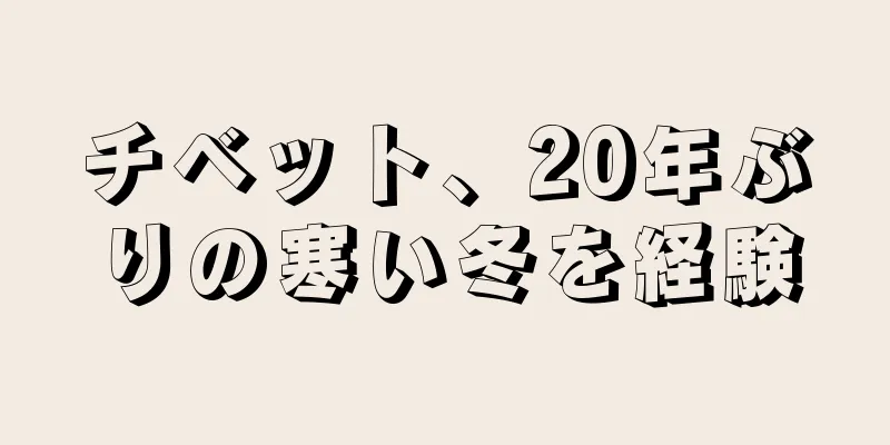 チベット、20年ぶりの寒い冬を経験
