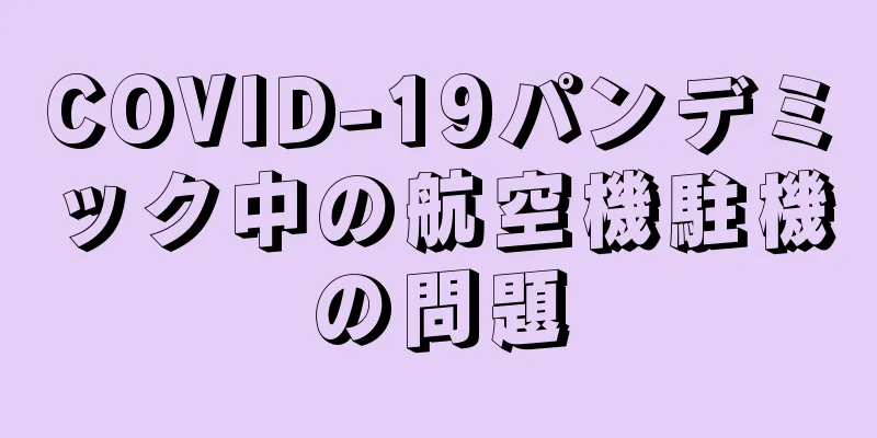 COVID-19パンデミック中の航空機駐機の問題