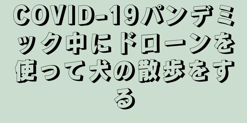 COVID-19パンデミック中にドローンを使って犬の散歩をする