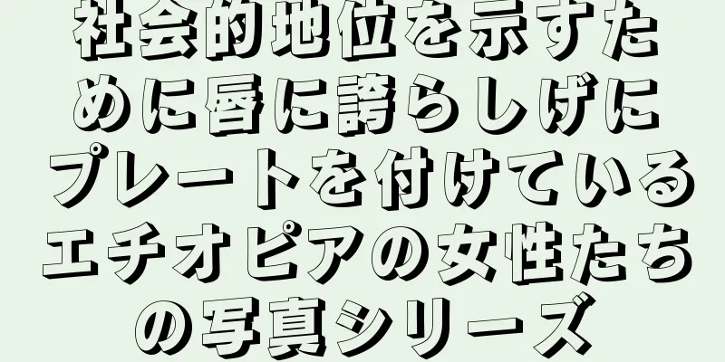 社会的地位を示すために唇に誇らしげにプレートを付けているエチオピアの女性たちの写真シリーズ