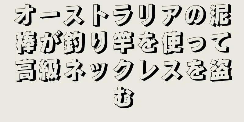 オーストラリアの泥棒が釣り竿を使って高級ネックレスを盗む
