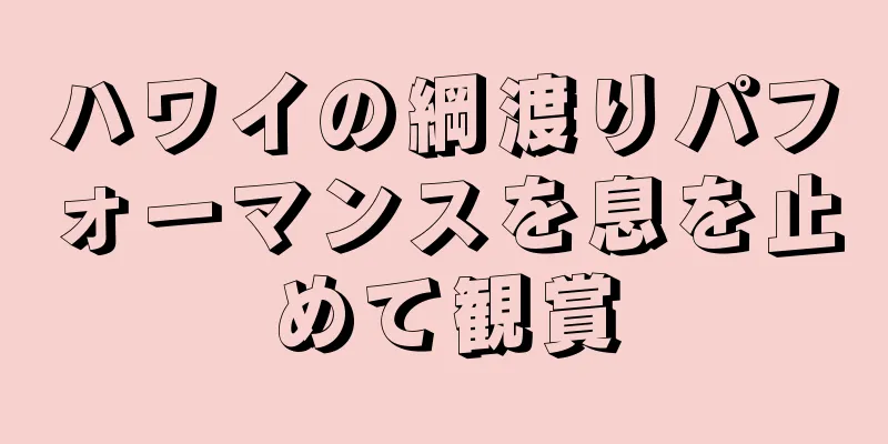 ハワイの綱渡りパフォーマンスを息を止めて観賞