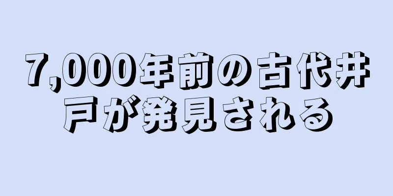 7,000年前の古代井戸が発見される