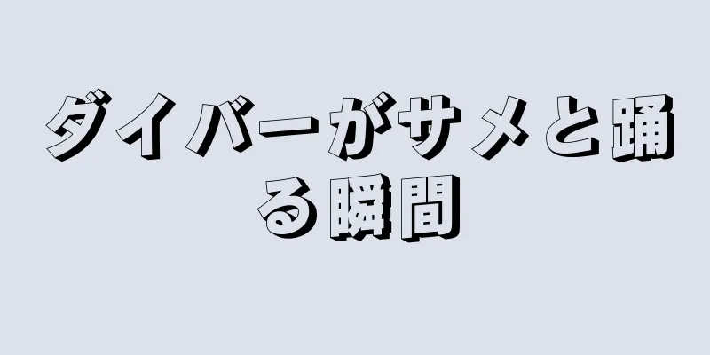 ダイバーがサメと踊る瞬間