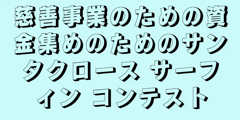 慈善事業のための資金集めのためのサンタクロース サーフィン コンテスト