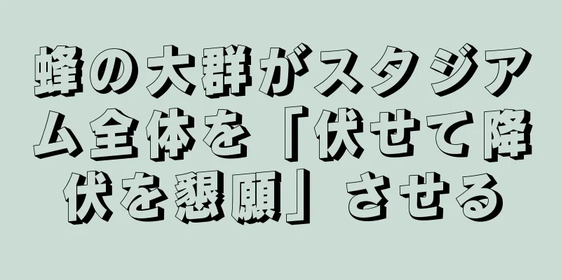 蜂の大群がスタジアム全体を「伏せて降伏を懇願」させる