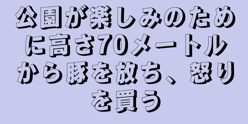 公園が楽しみのために高さ70メートルから豚を放ち、怒りを買う