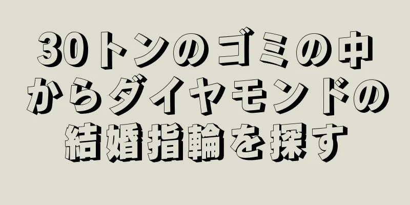 30トンのゴミの中からダイヤモンドの結婚指輪を探す