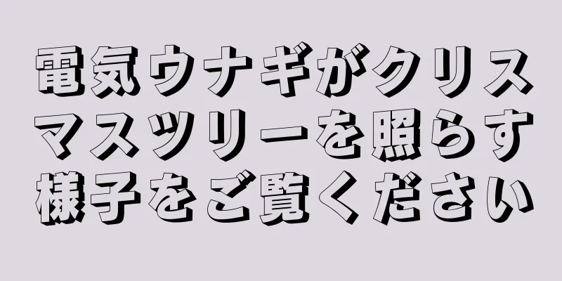 電気ウナギがクリスマスツリーを照らす様子をご覧ください