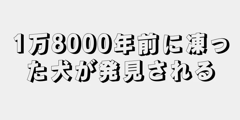 1万8000年前に凍った犬が発見される