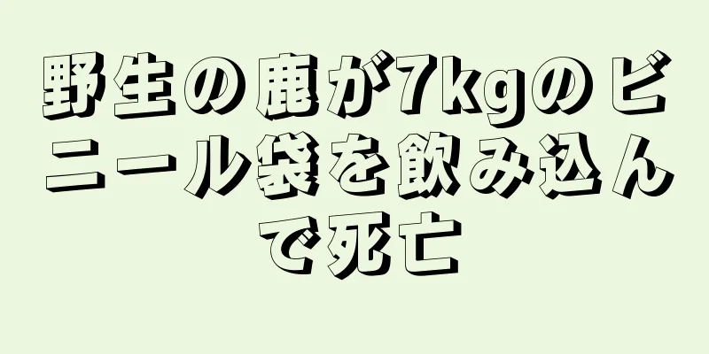 野生の鹿が7kgのビニール袋を飲み込んで死亡