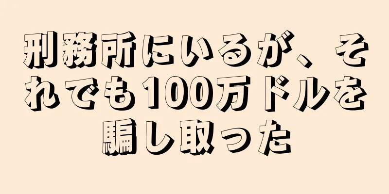 刑務所にいるが、それでも100万ドルを騙し取った