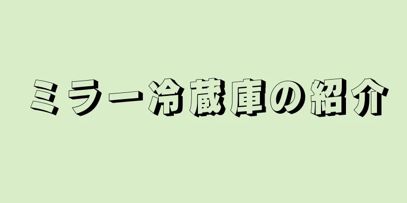 ミラー冷蔵庫の紹介
