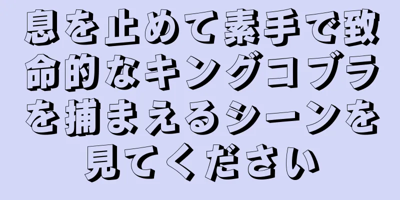 息を止めて素手で致命的なキングコブラを捕まえるシーンを見てください