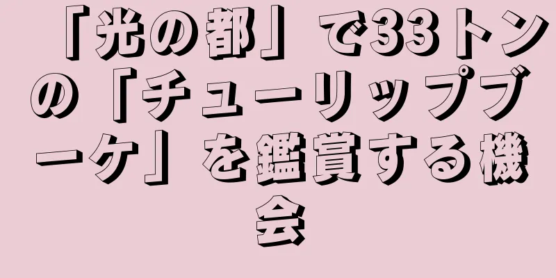 「光の都」で33トンの「チューリップブーケ」を鑑賞する機会