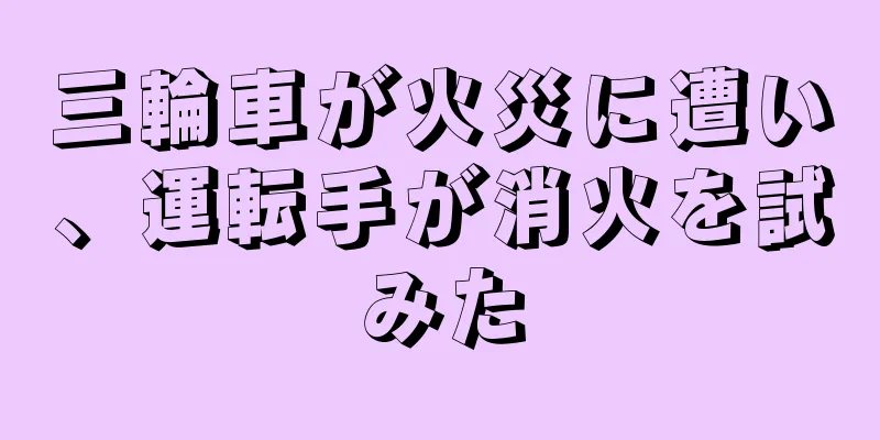 三輪車が火災に遭い、運転手が消火を試みた