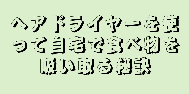 ヘアドライヤーを使って自宅で食べ物を吸い取る秘訣