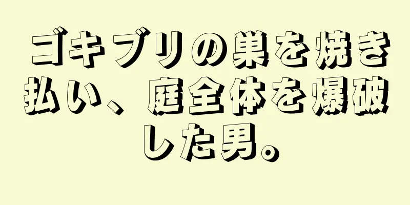 ゴキブリの巣を焼き払い、庭全体を爆破した男。