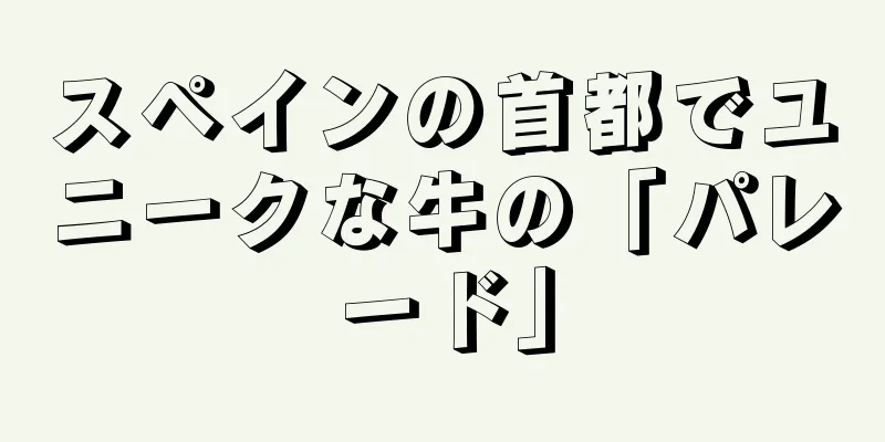 スペインの首都でユニークな牛の「パレード」