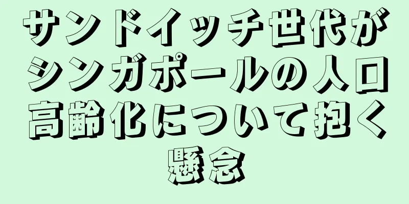 サンドイッチ世代がシンガポールの人口高齢化について抱く懸念