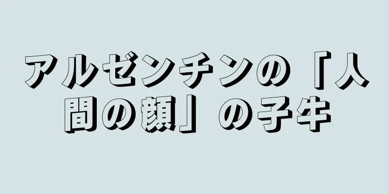 アルゼンチンの「人間の顔」の子牛