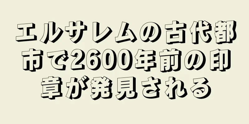 エルサレムの古代都市で2600年前の印章が発見される