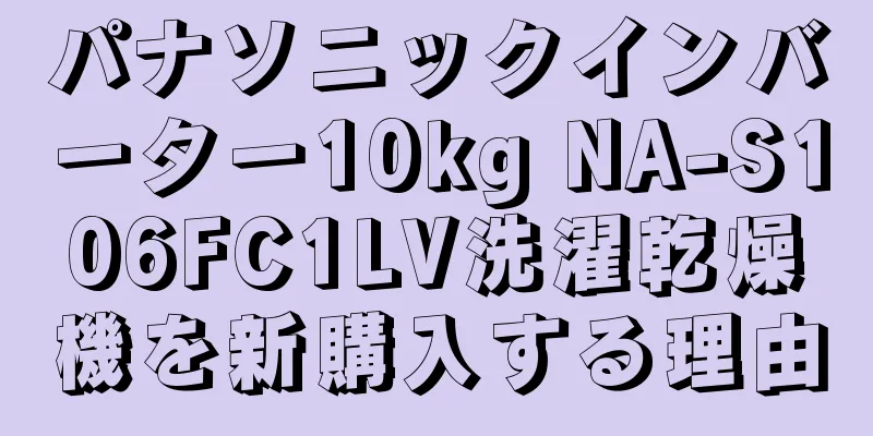 パナソニックインバーター10kg NA-S106FC1LV洗濯乾燥機を新購入する理由
