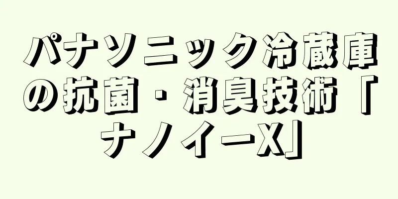 パナソニック冷蔵庫の抗菌・消臭技術「ナノイーX」