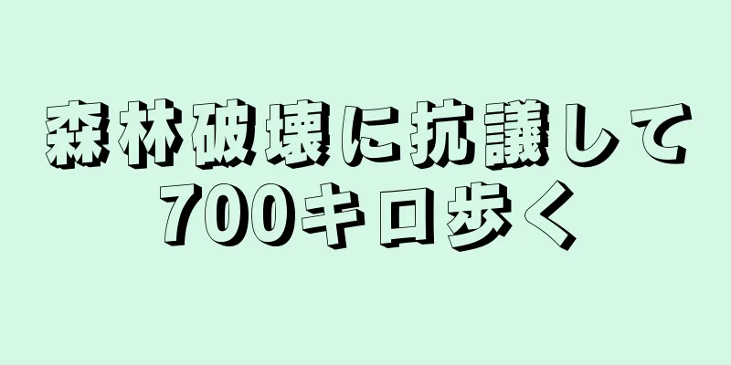 森林破壊に抗議して700キロ歩く
