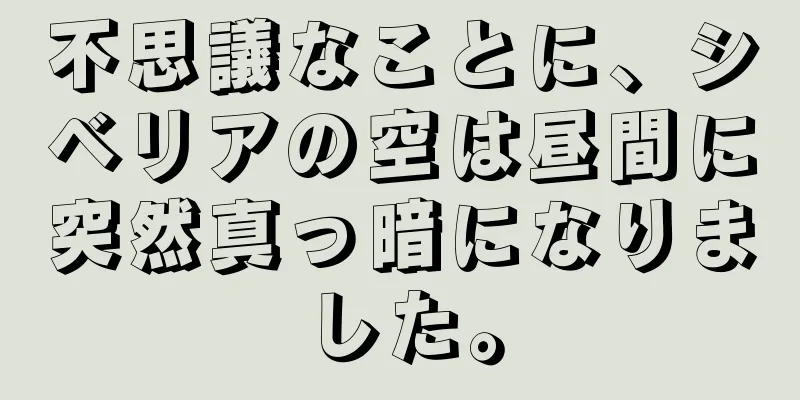 不思議なことに、シベリアの空は昼間に突然真っ暗になりました。