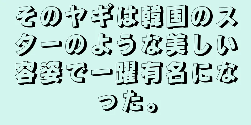 そのヤギは韓国のスターのような美しい容姿で一躍有名になった。