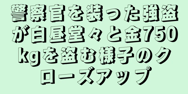 警察官を装った強盗が白昼堂々と金750kgを盗む様子のクローズアップ