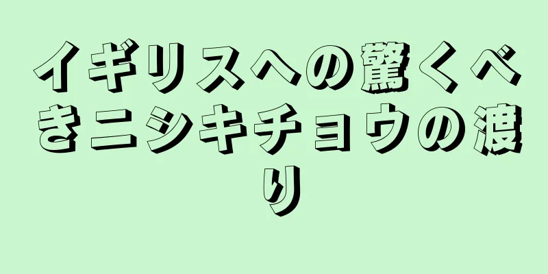 イギリスへの驚くべきニシキチョウの渡り