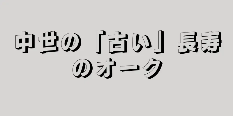 中世の「古い」長寿のオーク